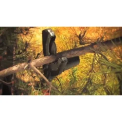 Worx WG320 20V Power Share JawSaw Cordless Chainsaw