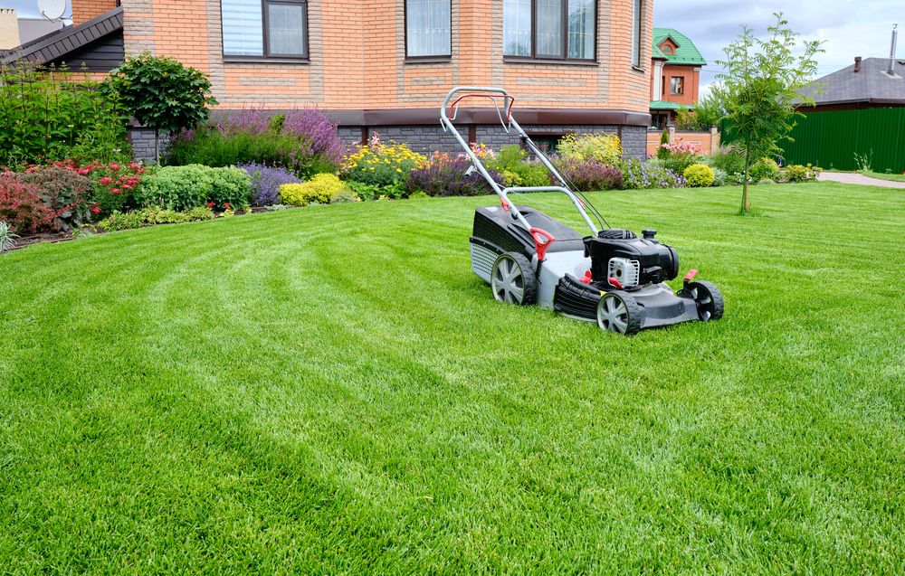 Worx Power Sales Store -Worx Power Sales Store